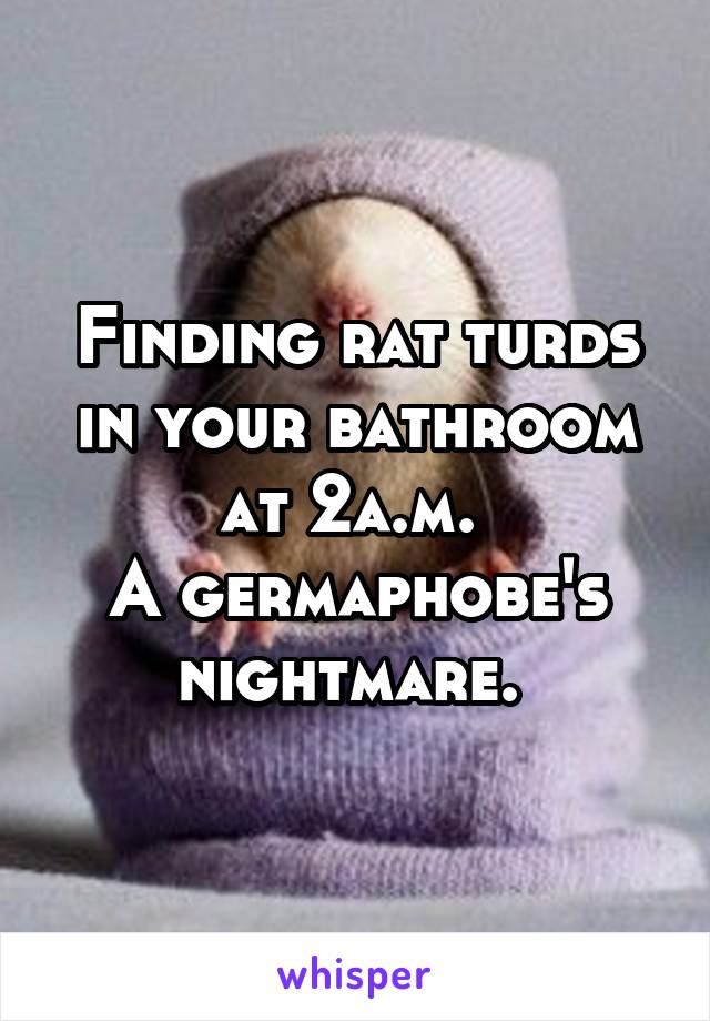 Finding rat turds in your bathroom at 2a.m. 
A germaphobe's nightmare. 