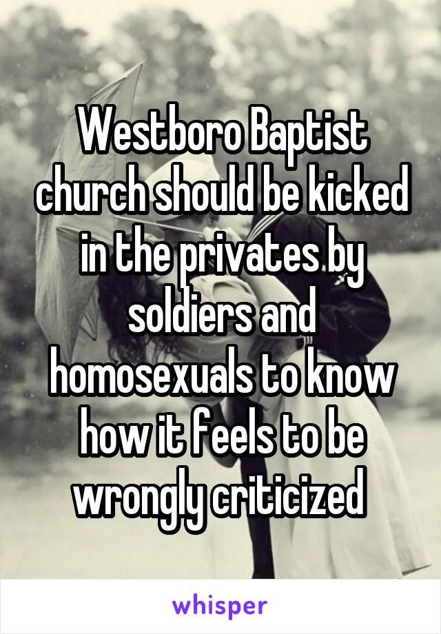 Westboro Baptist church should be kicked in the privates by soldiers and homosexuals to know how it feels to be wrongly criticized 