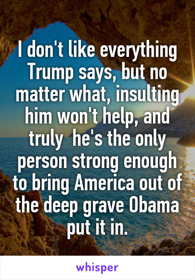 I don't like everything Trump says, but no matter what, insulting him won't help, and truly  he's the only person strong enough to bring America out of the deep grave Obama put it in.