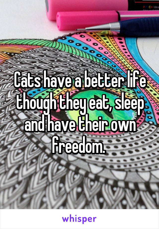 Cats have a better life though they eat, sleep and have their own freedom. 