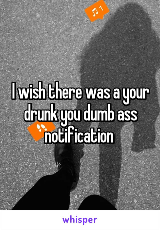 I wish there was a your drunk you dumb ass notification 