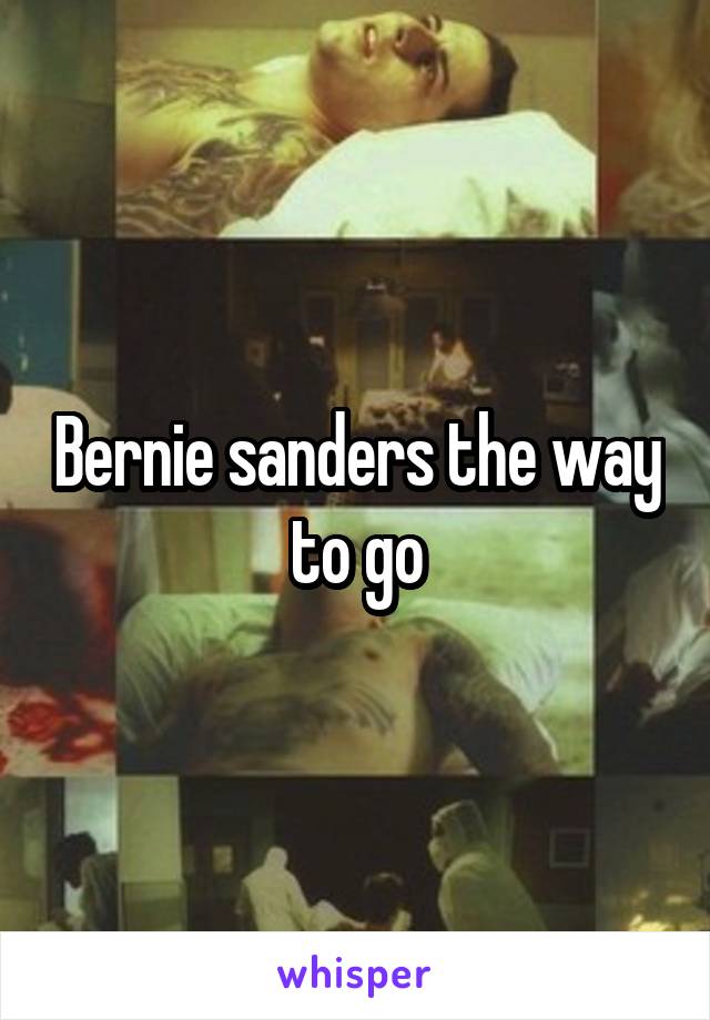 Bernie sanders the way to go