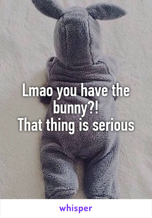 Lmao you have the bunny?!
That thing is serious