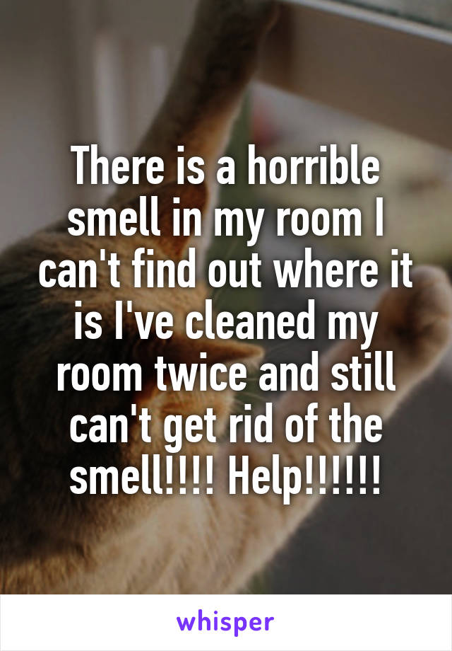 There is a horrible smell in my room I can't find out where it is I've cleaned my room twice and still can't get rid of the smell!!!! Help!!!!!!