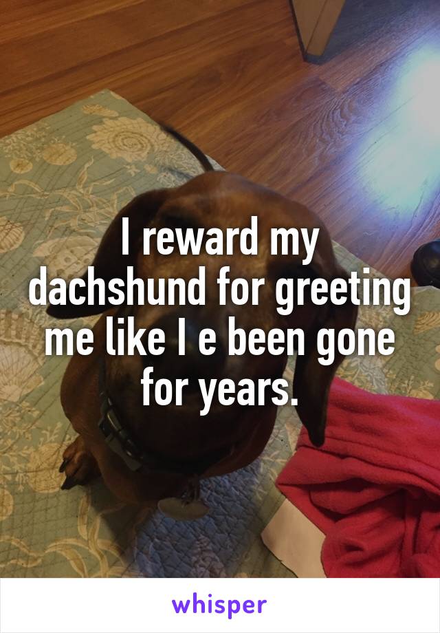 I reward my dachshund for greeting me like I e been gone for years.