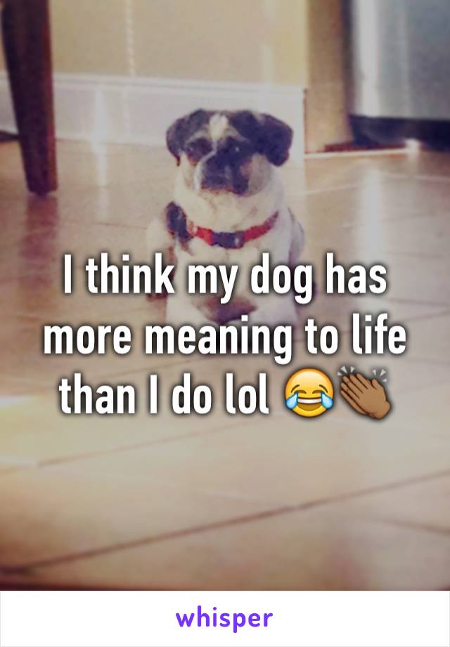 I think my dog has more meaning to life than I do lol 😂👏🏾