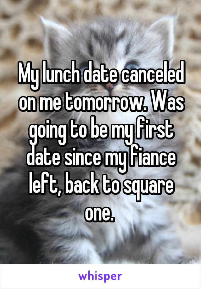 My lunch date canceled on me tomorrow. Was going to be my first date since my fiance left, back to square one. 