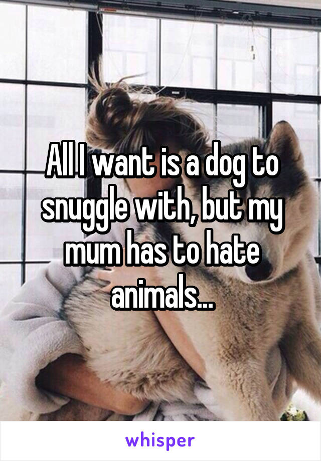 All I want is a dog to snuggle with, but my mum has to hate animals...