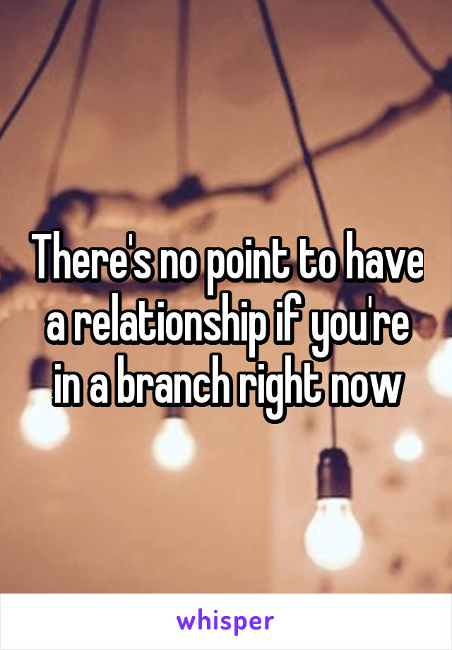 There's no point to have a relationship if you're in a branch right now