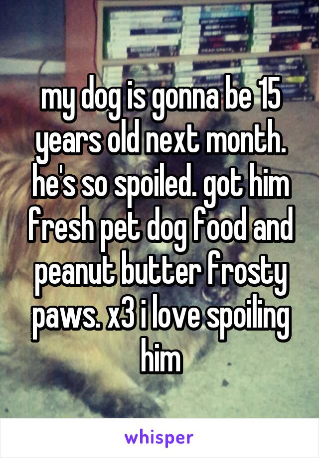 my dog is gonna be 15 years old next month. he's so spoiled. got him fresh pet dog food and peanut butter frosty paws. x3 i love spoiling him