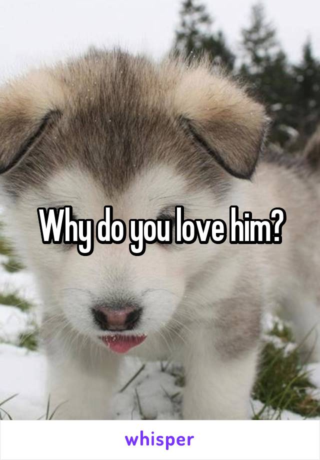 Why do you love him?