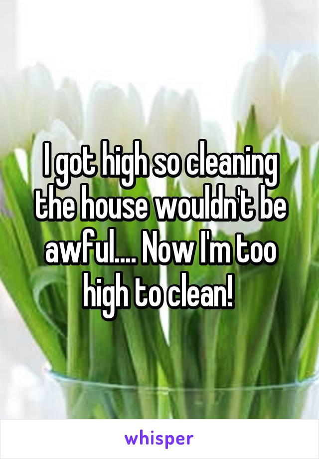 I got high so cleaning the house wouldn't be awful.... Now I'm too high to clean! 