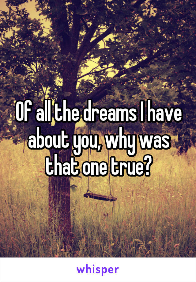 Of all the dreams I have about you, why was that one true?