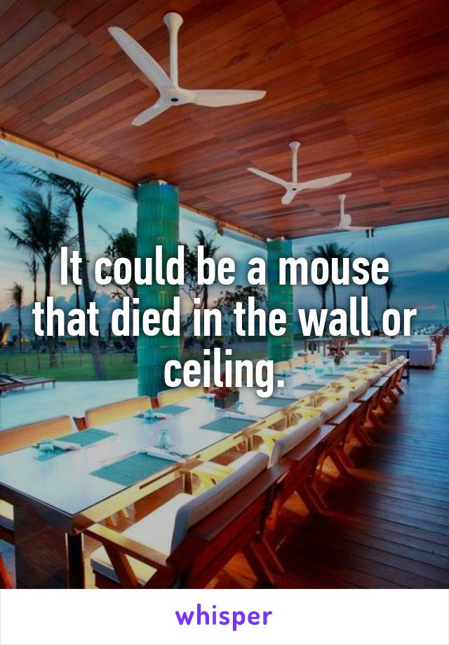 It could be a mouse that died in the wall or ceiling.