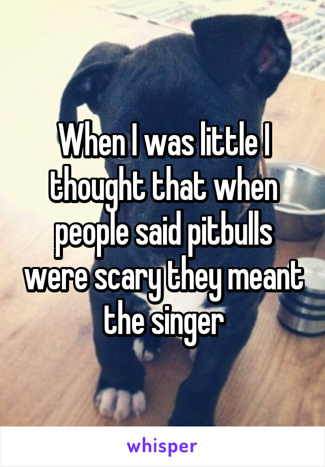 When I was little I thought that when people said pitbulls were scary they meant the singer