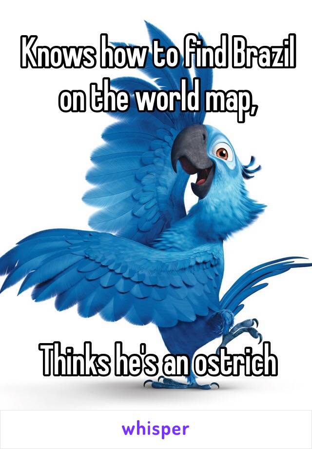 Knows how to find Brazil on the world map,





Thinks he's an ostrich