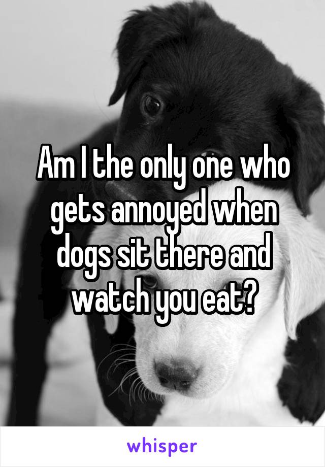 Am I the only one who gets annoyed when dogs sit there and watch you eat?