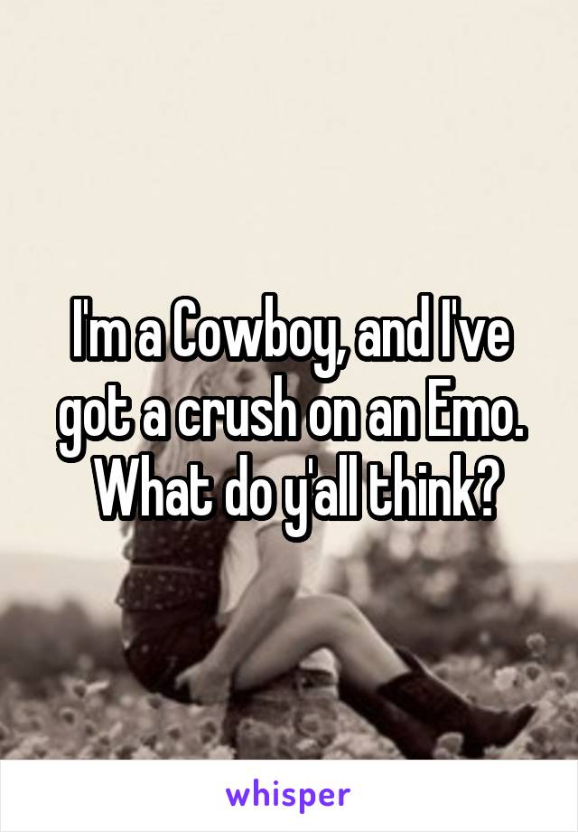 I'm a Cowboy, and I've got a crush on an Emo.
 What do y'all think?