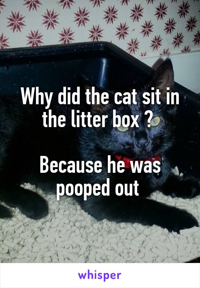 Why did the cat sit in the litter box ? 

Because he was pooped out 