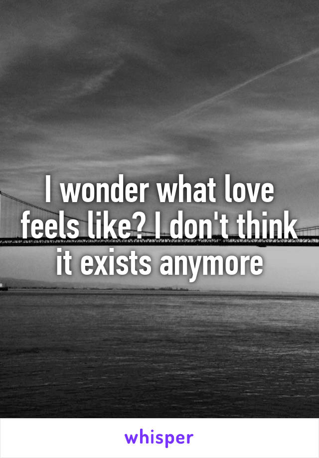 I wonder what love feels like? I don't think it exists anymore