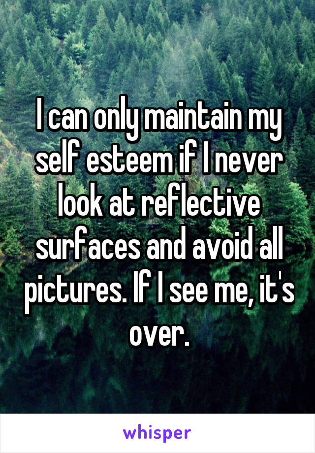 I can only maintain my self esteem if I never look at reflective surfaces and avoid all pictures. If I see me, it's over.