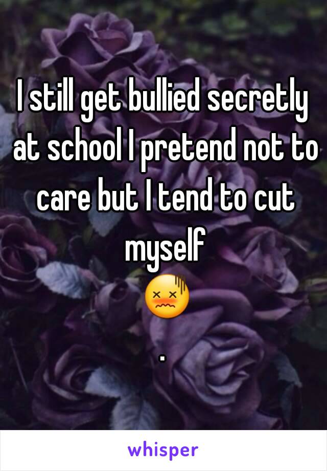 I still get bullied secretly at school I pretend not to care but I tend to cut myself 😖.