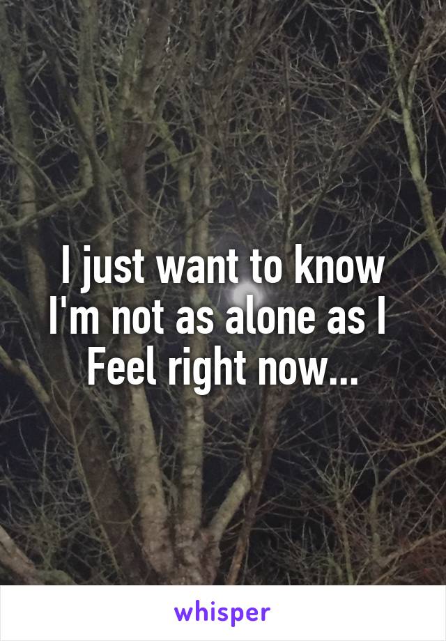 I just want to know
I'm not as alone as I 
Feel right now...