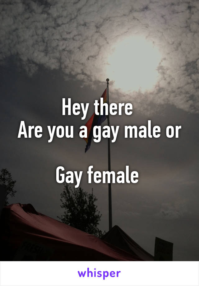 Hey there 
Are you a gay male or 
Gay female 