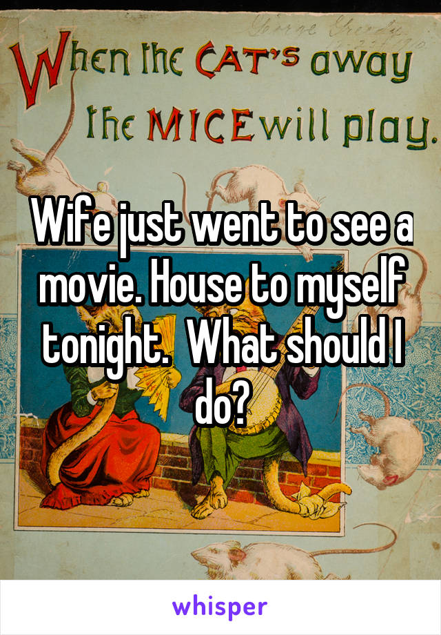 Wife just went to see a movie. House to myself tonight.  What should I do?