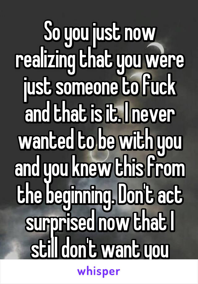 So you just now realizing that you were just someone to fuck and that is it. I never wanted to be with you and you knew this from the beginning. Don't act surprised now that I still don't want you