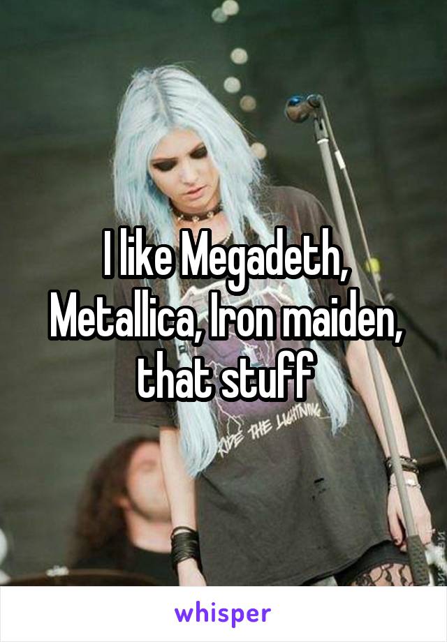 I like Megadeth, Metallica, Iron maiden, that stuff