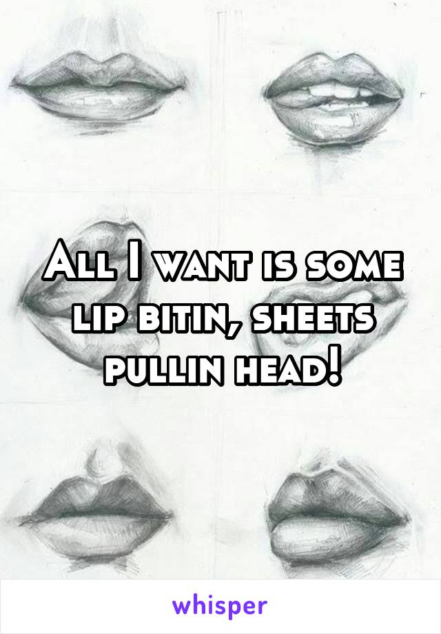 All I want is some lip bitin, sheets pullin head!