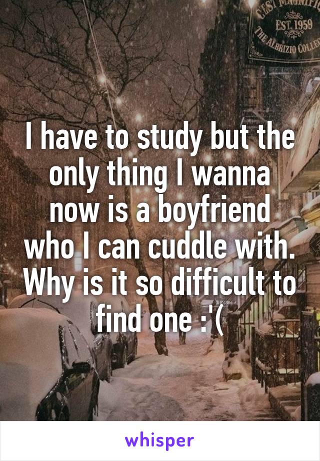 I have to study but the only thing I wanna now is a boyfriend who I can cuddle with. Why is it so difficult to find one :'(