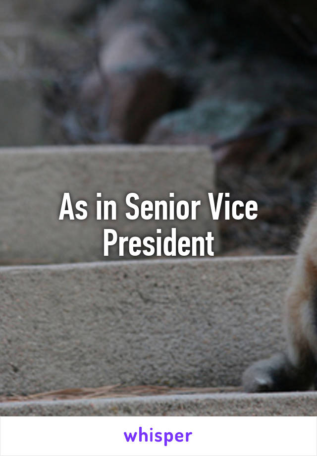 As in Senior Vice President