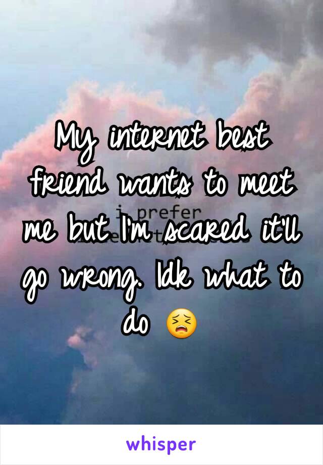 My internet best friend wants to meet me but I'm scared it'll go wrong. Idk what to do 😣