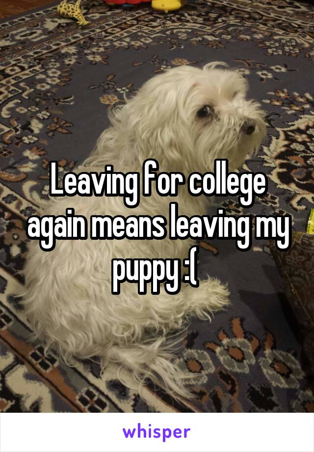 Leaving for college again means leaving my puppy :( 