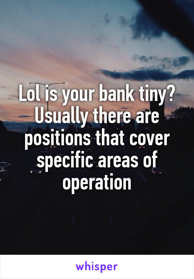 Lol is your bank tiny? Usually there are positions that cover specific areas of operation