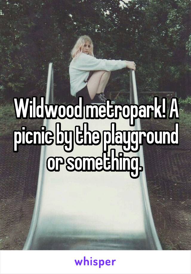 Wildwood metropark! A picnic by the playground or something. 
