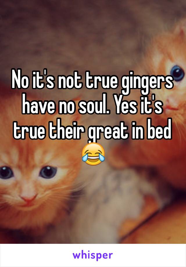 No it's not true gingers have no soul. Yes it's true their great in bed 😂