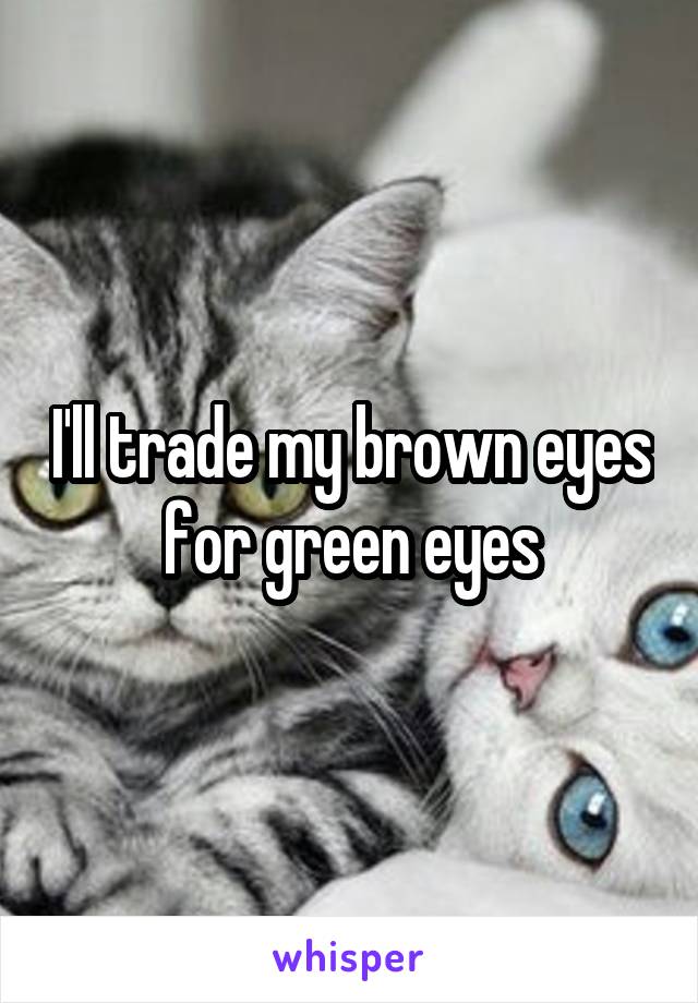 I'll trade my brown eyes for green eyes