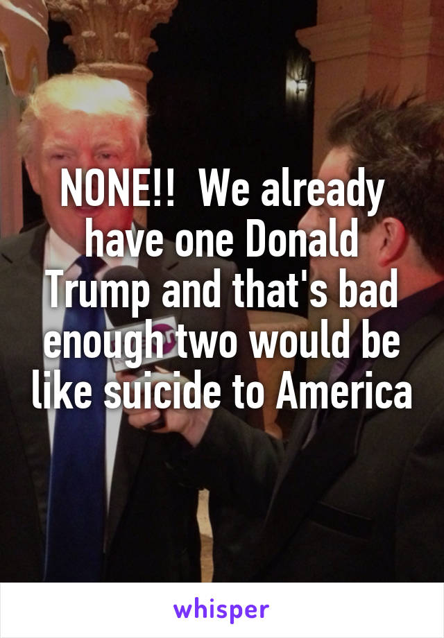 NONE!!  We already have one Donald Trump and that's bad enough two would be like suicide to America 