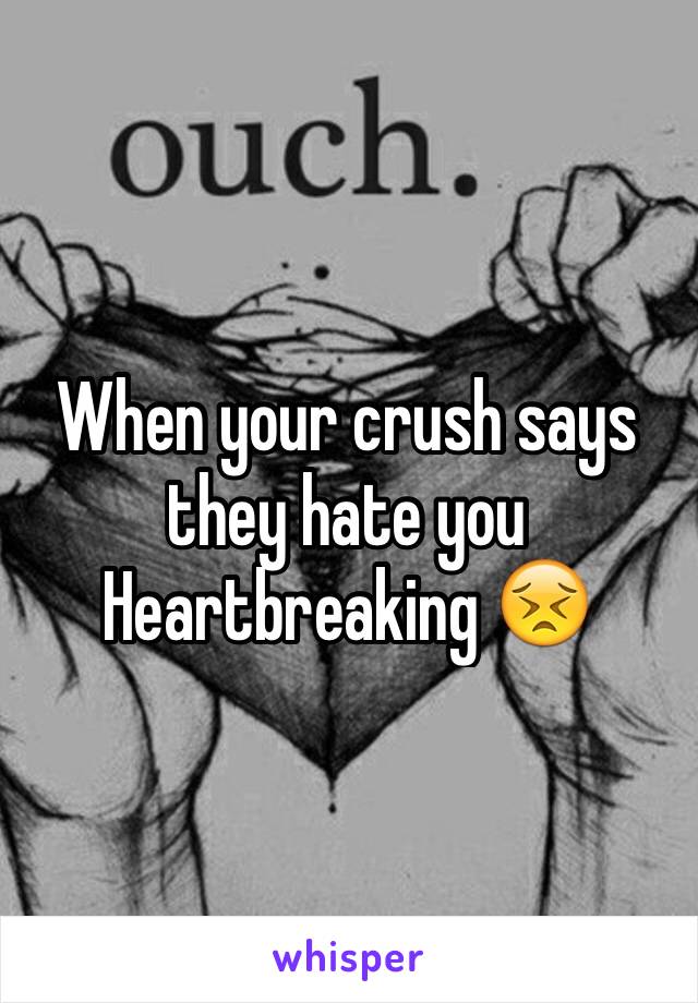 When your crush says they hate you Heartbreaking 😣