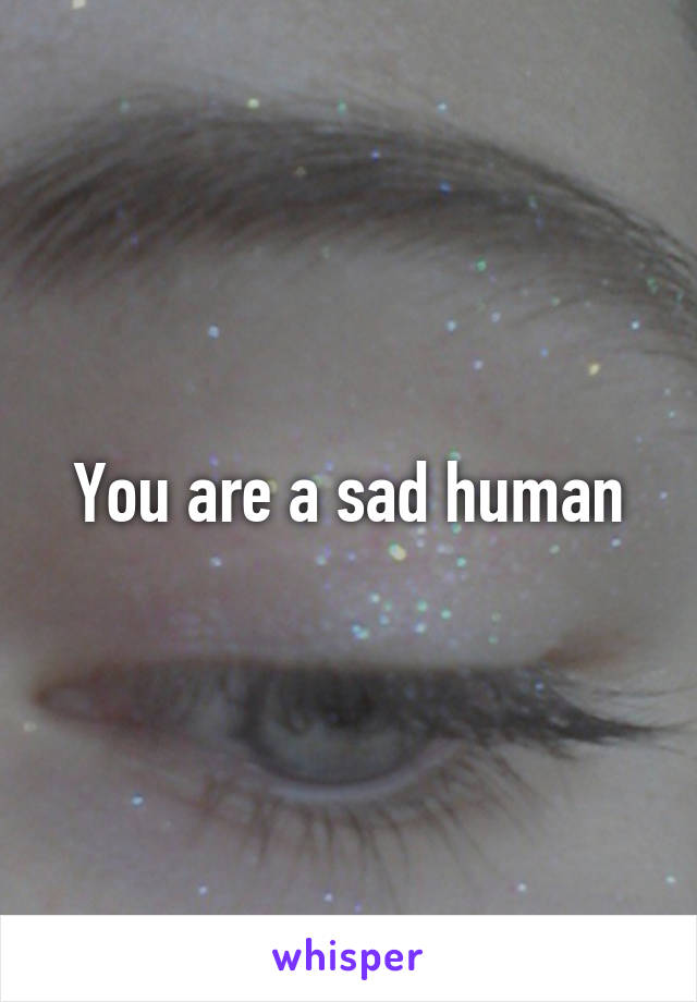 You are a sad human