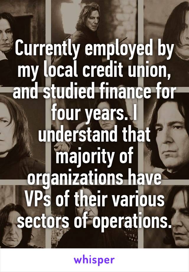 Currently employed by my local credit union, and studied finance for four years. I understand that majority of organizations have VPs of their various sectors of operations.