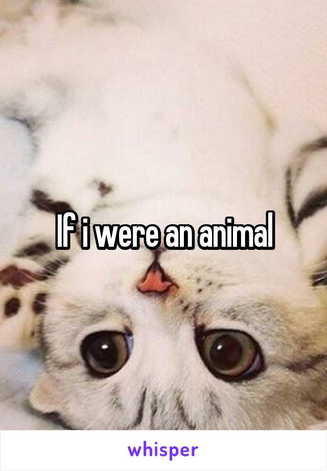 If i were an animal