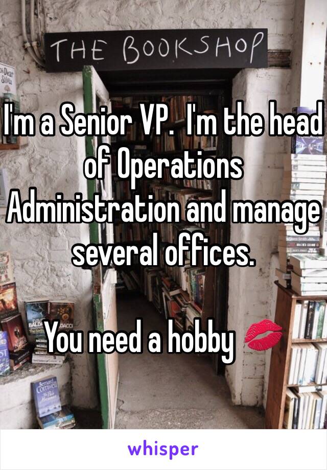 I'm a Senior VP.  I'm the head of Operations Administration and manage several offices.

You need a hobby 💋