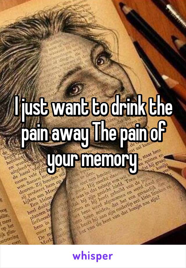 I just want to drink the pain away The pain of your memory 