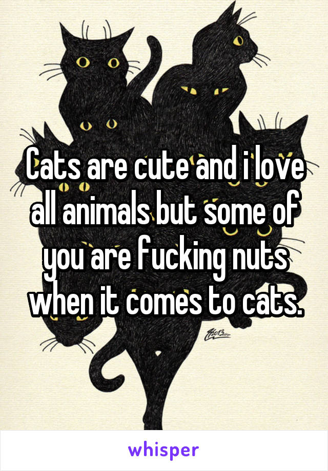 Cats are cute and i love all animals but some of you are fucking nuts when it comes to cats.