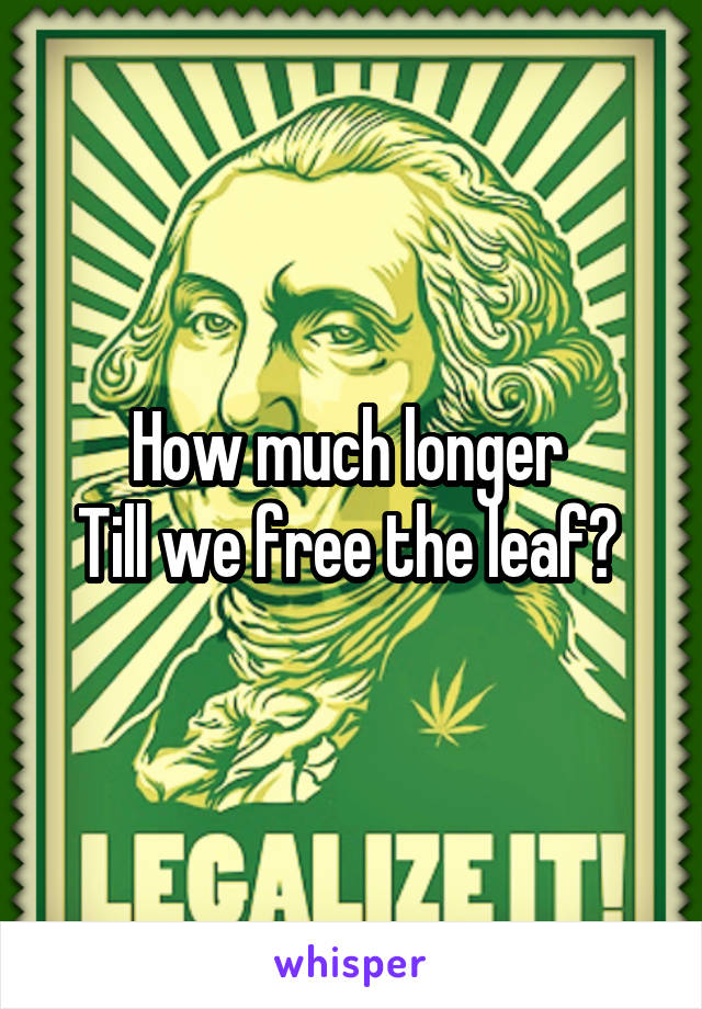 How much longer 
Till we free the leaf? 