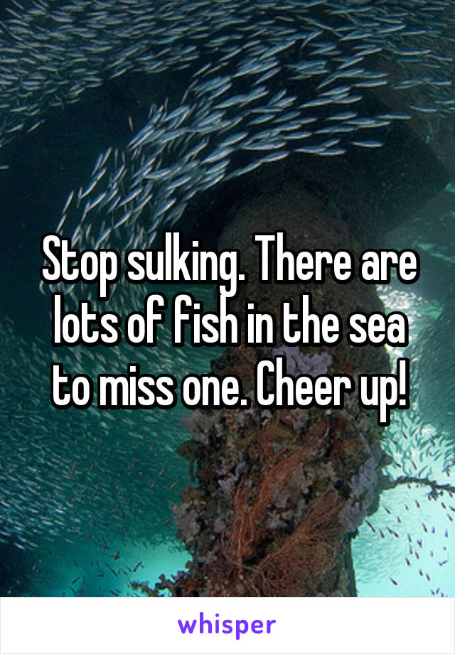 Stop sulking. There are lots of fish in the sea to miss one. Cheer up!